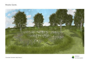 concept-design-7-wildflowers.jpg - A Centenary Rose Garden for the future