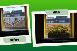 internal-window-box-1.png - Bloom & Connect: Greening our Community