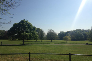 img-6787.jpg - A Field of Dreams in Heaton Park