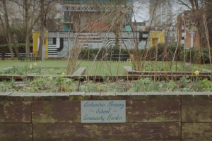 community-gardens.png - Bethnal Green Appeal