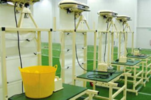 Ashy's Cricket - Helping Bowl the Next Generation