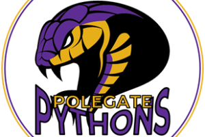Polegate & Stone Cross CC COVID 19 fund