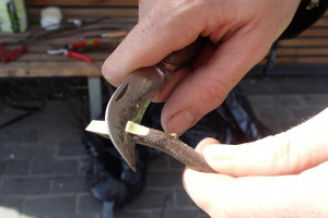 grafting-pic-2.jpg - Save London's Apple Heritage!