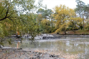 harlow-2.jpg - Oakwood Pond Restoration