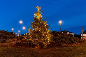 72706813-3659219750770833-8619087803508064256-n.jpg - Throckley Thrive Christmas Tree