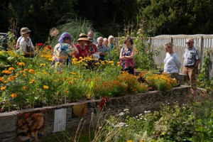 Spring Fair and Sustainability Festival