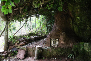 887350-927553554001471-4497086460313498226-o.jpg - Protecting wild spaces in Torbay