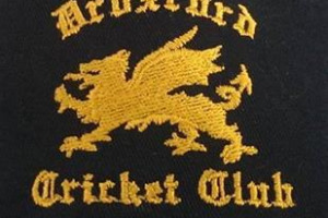 Help Droxford Cricket Club!