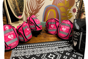 all-bags.png - The Night Angels of Gloucestershire