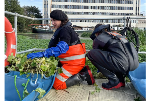 img-9539.jpg - Eco Boat Fund: Revive Channelsea Waters
