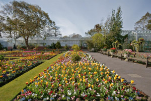 formal-garden.jpg - Gateway to Swansea Botanical Gardens