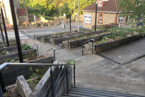 img-6012.jpg - An urban kitchen garden for Keynsham