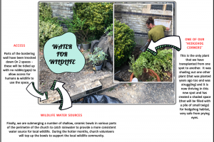 wildscaping-st-mark-s-church-wildscaping-worldwide-3.png - Support Our Trail Blazing Eco Church...