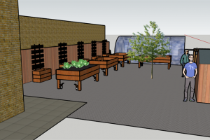 minster-surgery-therapy-garden-5.png - Accessible path for our Therapy Garden