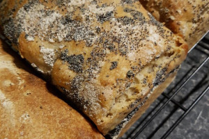 bread-6.jpg - Help raise dough for our bread oven 