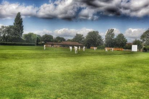 Water Orton Cricket Club Needs Your Help