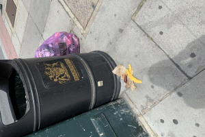 4-a-546860-e-91-d-47-ed-954-f-52824-df-8989-d.jpeg - A Cleaner Barnet - Keep our borough clea