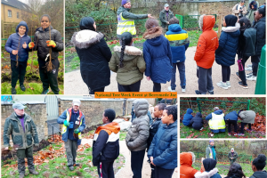 berrymede-tree-planting-collage-11-2020.jpg - DIG Hanwell Community Hub