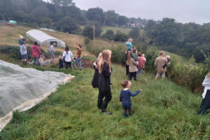 sowing-seeds.jpg - Little hands on the land