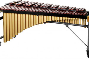 marimba-example.jpg - The WLFS Rare Instrument Scheme 