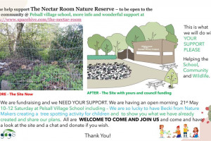 the-nectar-room-project-the-site-1.jpg - The Nectar room - Community outdoor hub