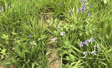 Image 19 of 23