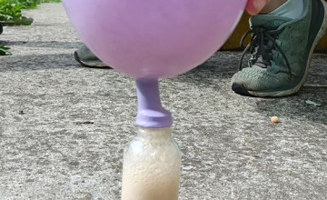 Image 2 of 8