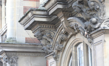 Image 7 of 28