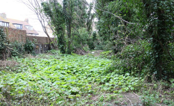 Image 10 of 9