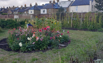 Image 52 of 52