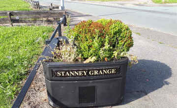 Image 4 of 15