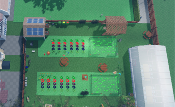 Image 4 of 6