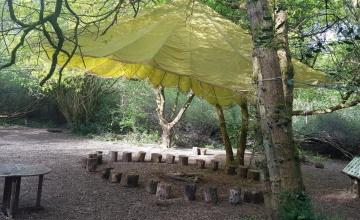Image 3 of 4