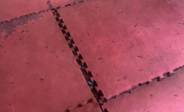 Image 19 of 20