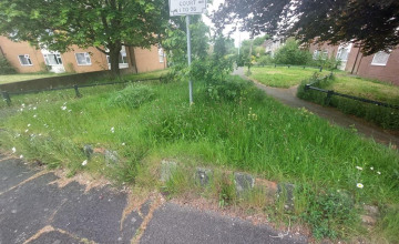 Image 9 of 10