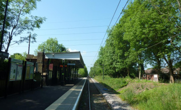 Image 4 of 7