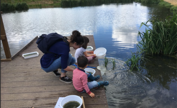 Image 2 of 20