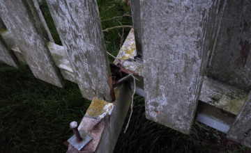 Image 4 of 5