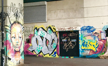 Image 2 of 14