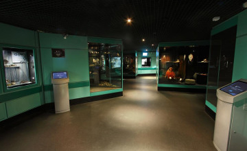 Image 4 of 11