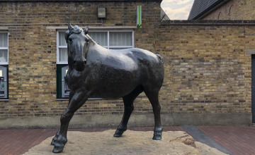 Image 3 of 40