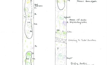 Image 13 of 14