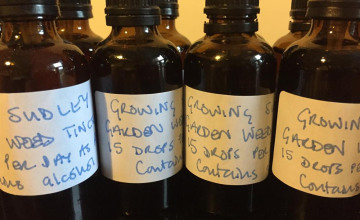 Image 7 of 71