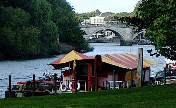 Image 2 of 7