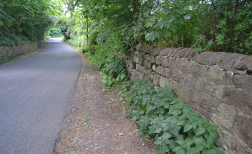 Image 2 of 1