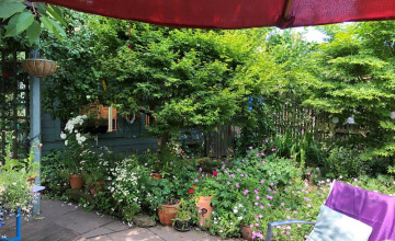 Image 11 of 18