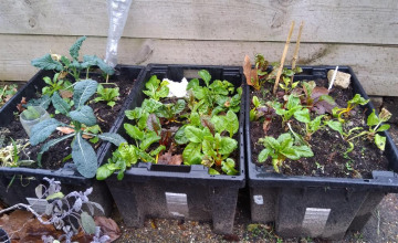 Image 4 of 17