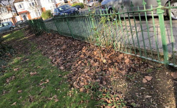 Image 27 of 35