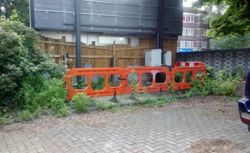 Image 7 of 10