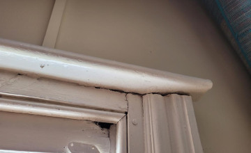 Image 6 of 5